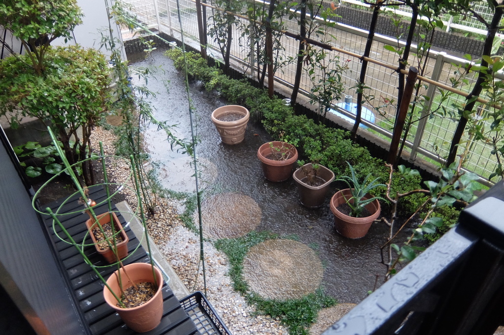 台風の影響…