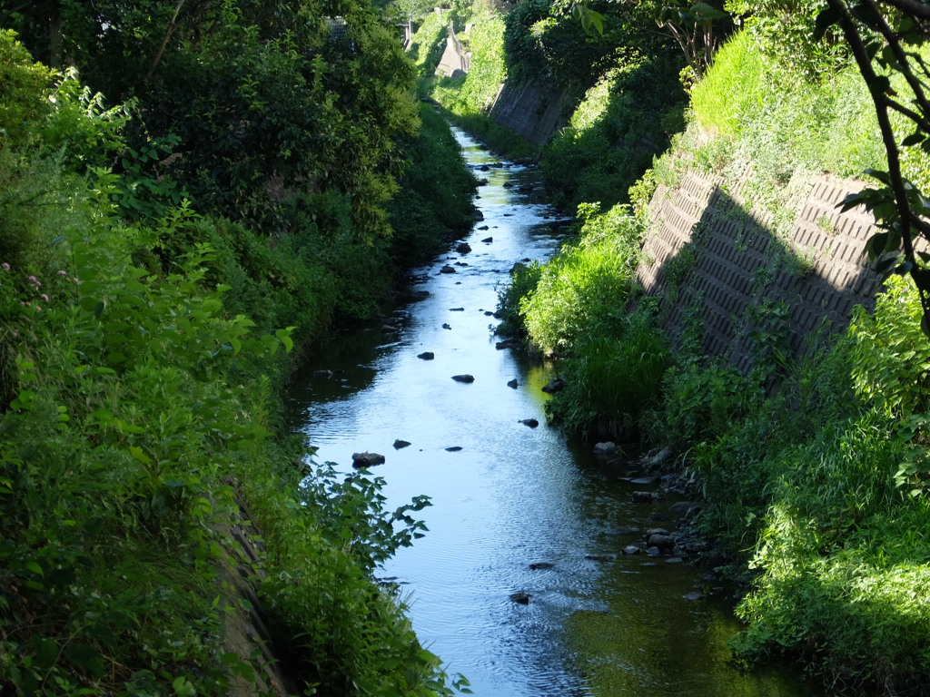 通勤中のヒトコマ