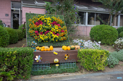 ハロウィン
