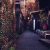 路地裏