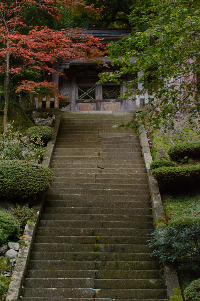 永平寺　紅葉　門