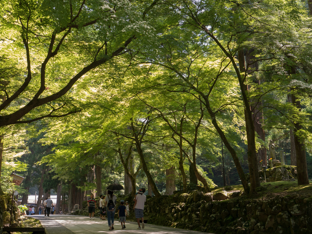 「夏　永平寺」