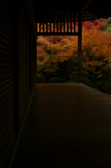 京都　龍安寺　床紅葉