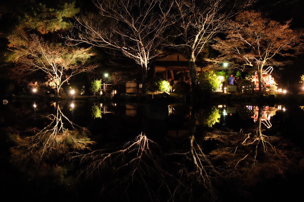 京都　東山花灯路　円山公園