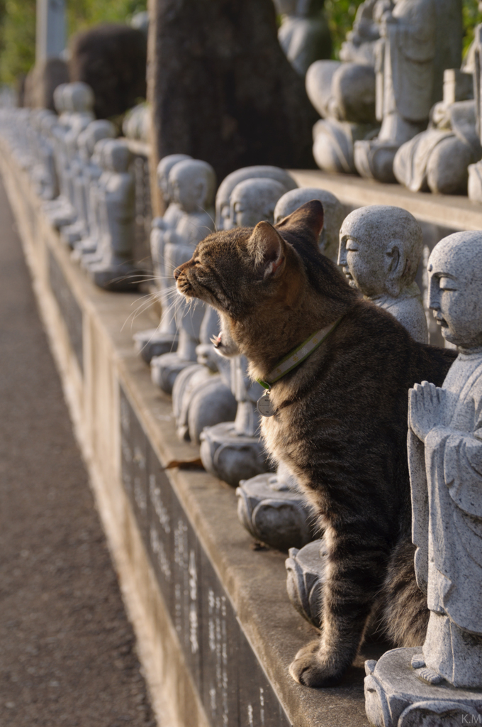 「がおー」