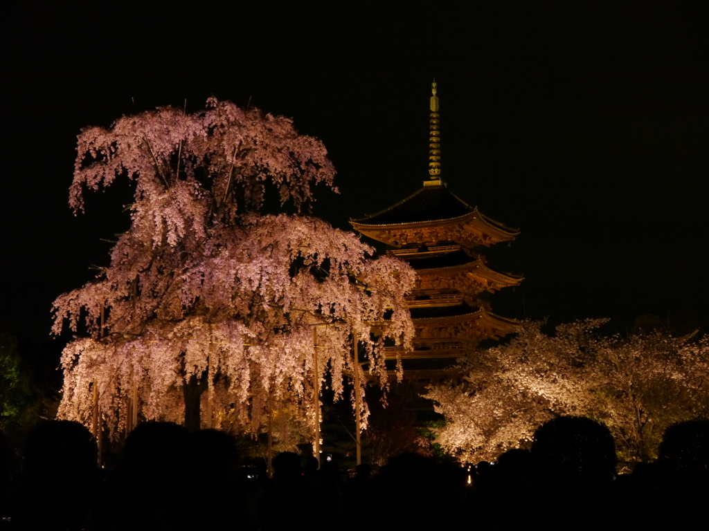 京都　東寺　ライトアップ