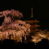 京都　東寺　ライトアップ