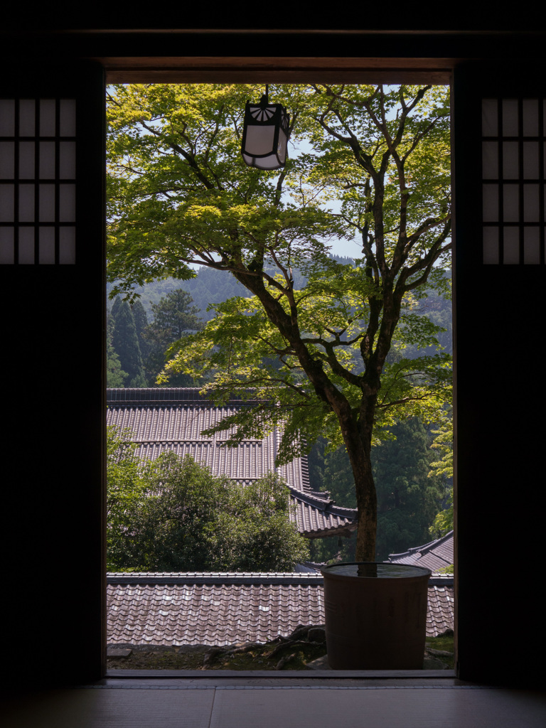 「夏の永平寺　晴れ」