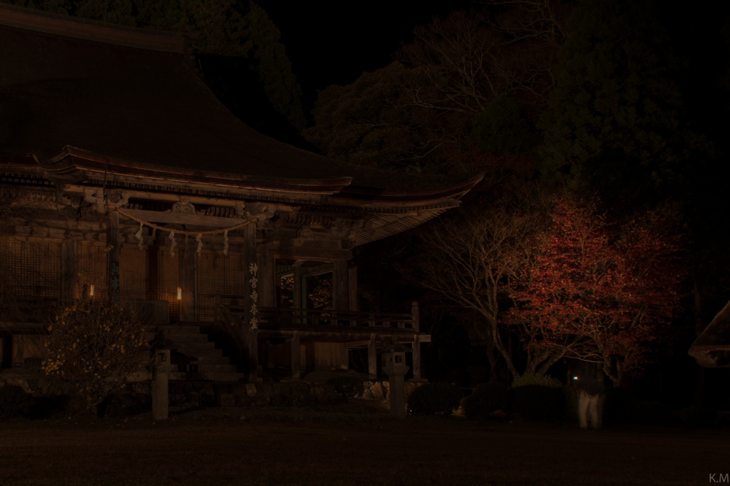 紅葉ライトアップ　神宮寺　再