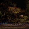 萬徳寺　庭園　ライトアップ