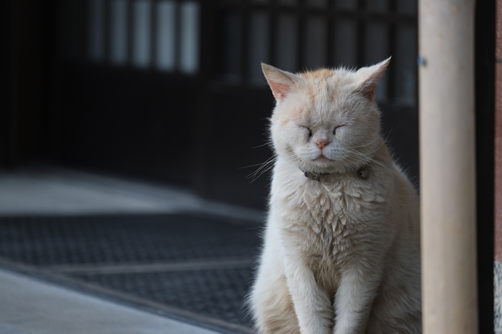 おこしやす？