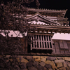 丸岡城　桜　ライトアップ