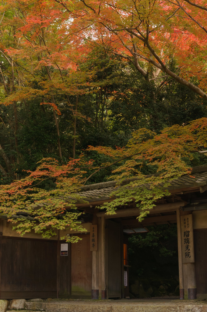 また来よう、瑠璃光院