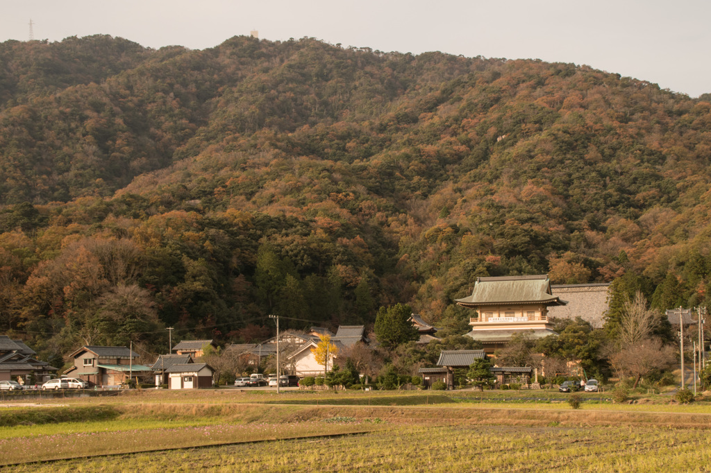 西福寺　夕暮れ前の　秋のひと時　