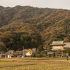 西福寺　夕暮れ前の　秋のひと時　