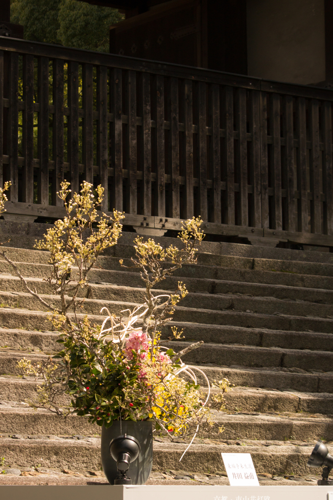 青蓮院　京都　東山花灯路　