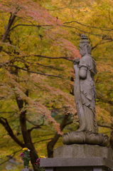 あの時の永平寺