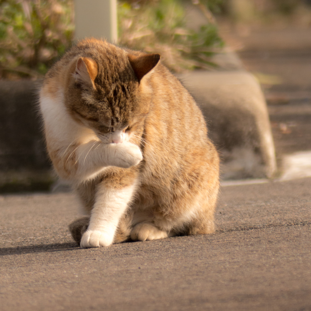 「暖かい」