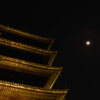 「月夜と八坂の塔」　東山花灯路　2014