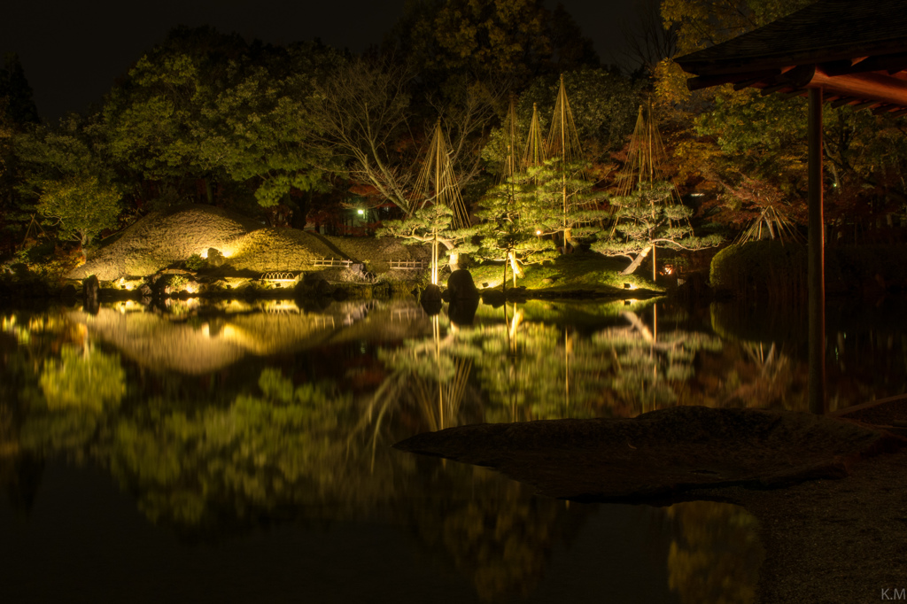 静かなる夜の庭園