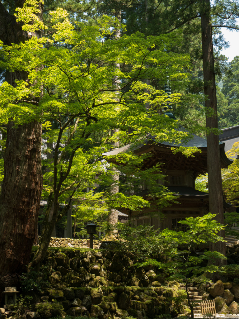 「夏　緑　永平寺」