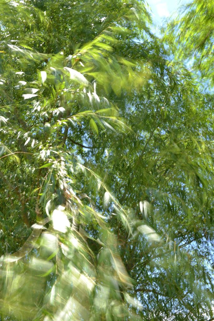 風吹けば