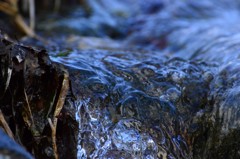 水無川沿い (1)
