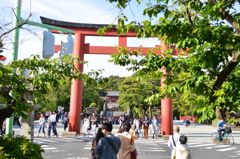 鶴岡八幡宮