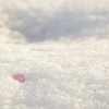 冬と春の境界