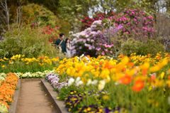 Flower way