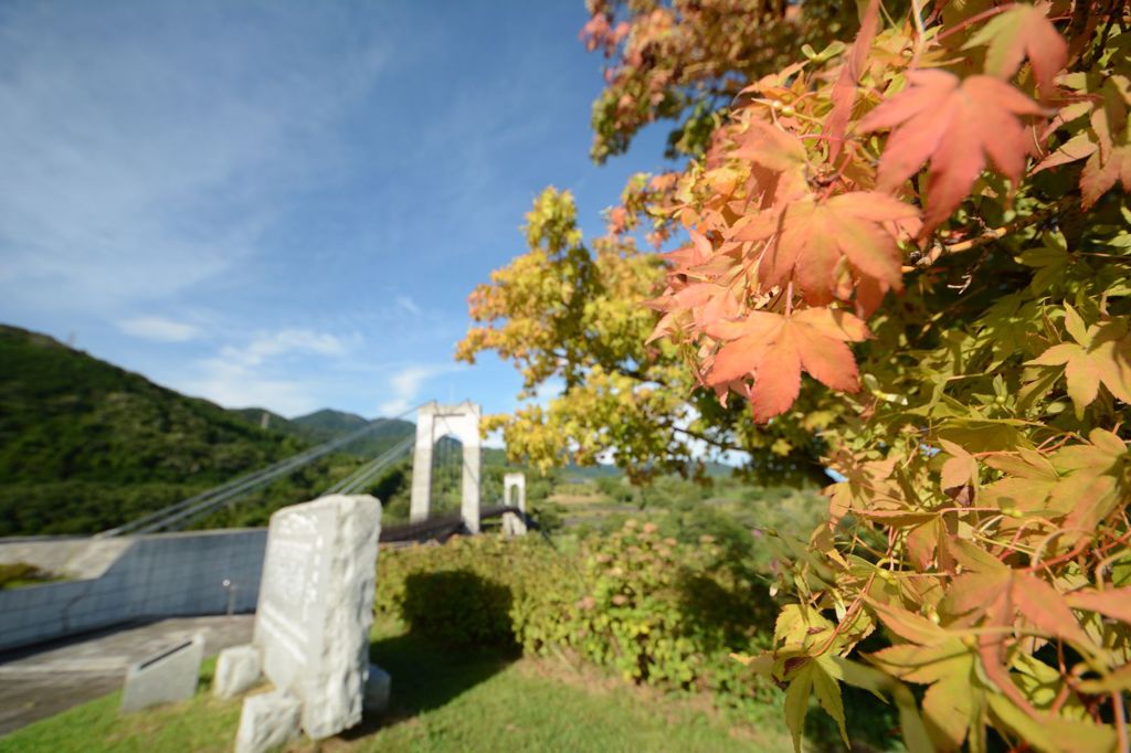 一足も二足も速い紅葉