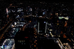 Yokohama Landmark