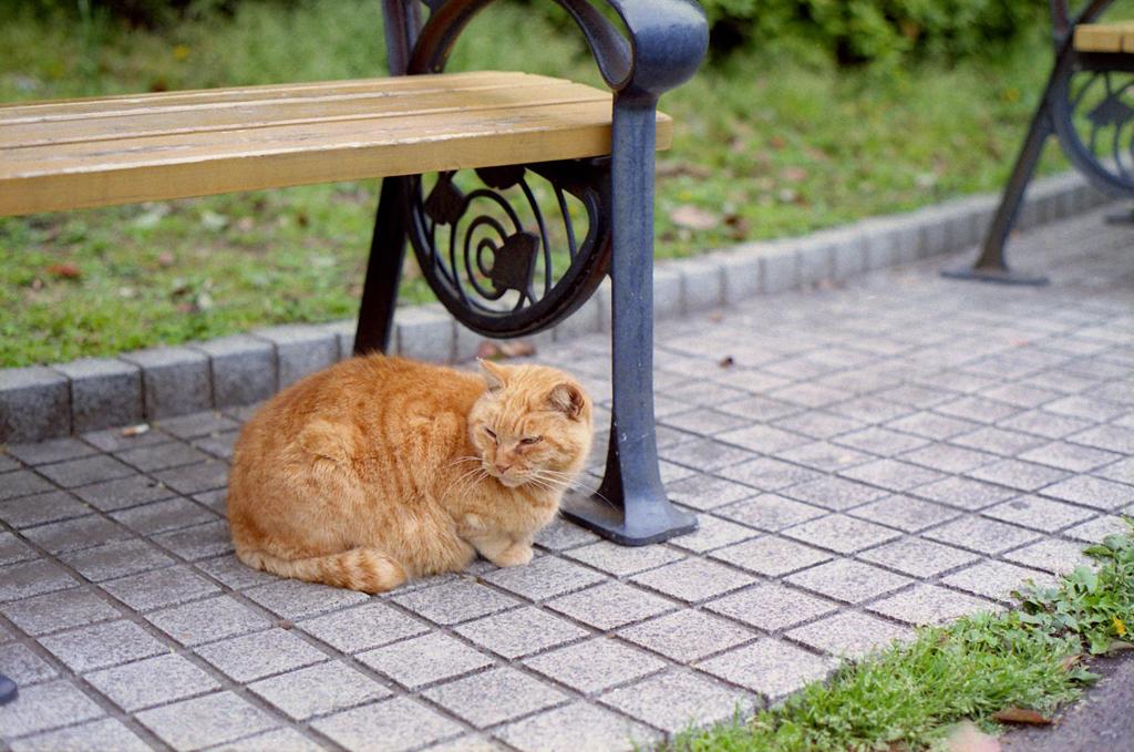 ２０１３．４　日比谷公園