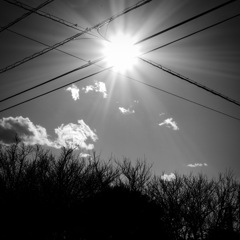 太陽と電線
