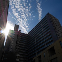 マンション