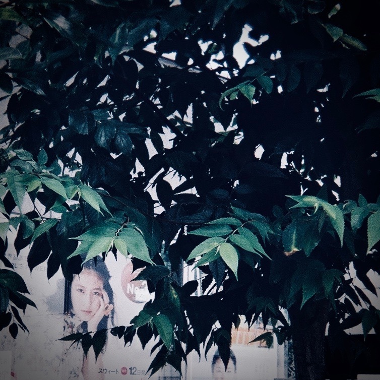 summer03