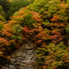 DSCF4469