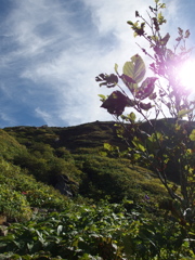 P9130719