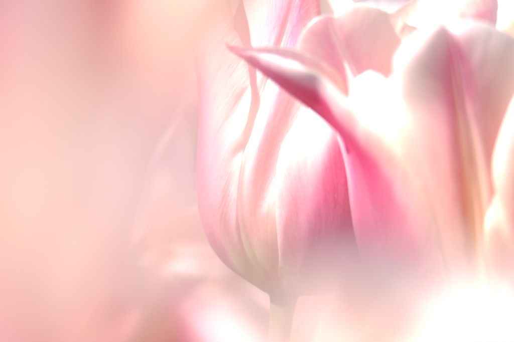 DSCF5284