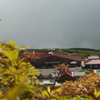 P9120645
