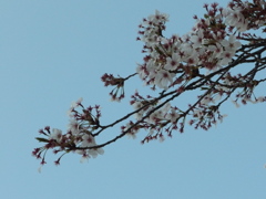 P4060124