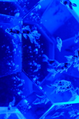 DSCF4342