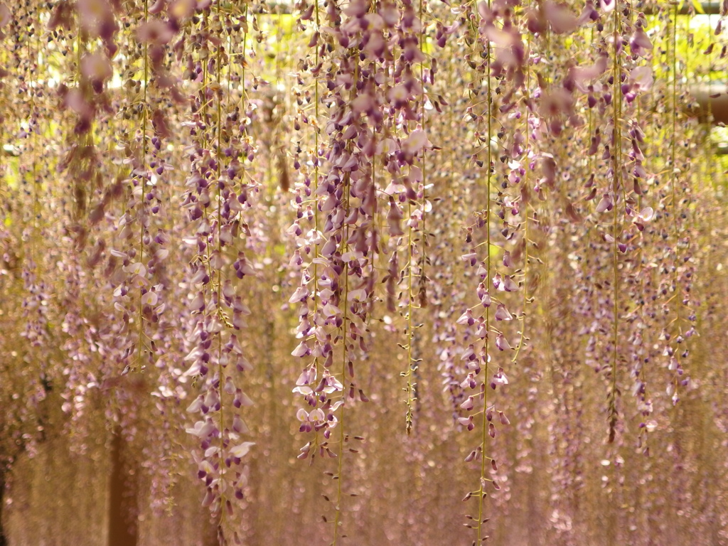 P5030128