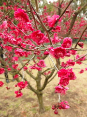 P3010108