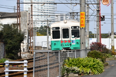 女性運転手