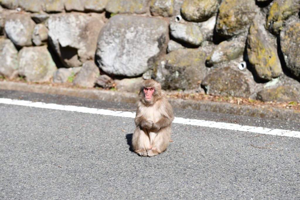 なに見てんだよ