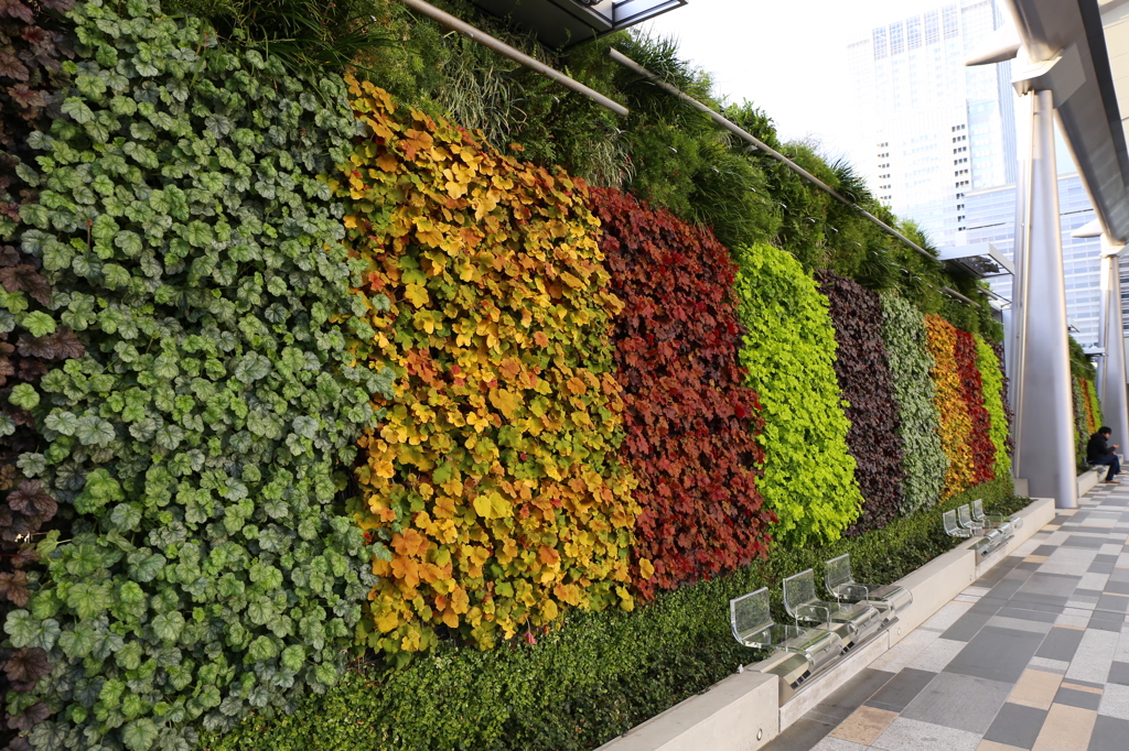 グランルーフにて