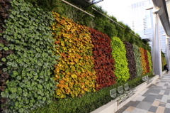 グランルーフにて