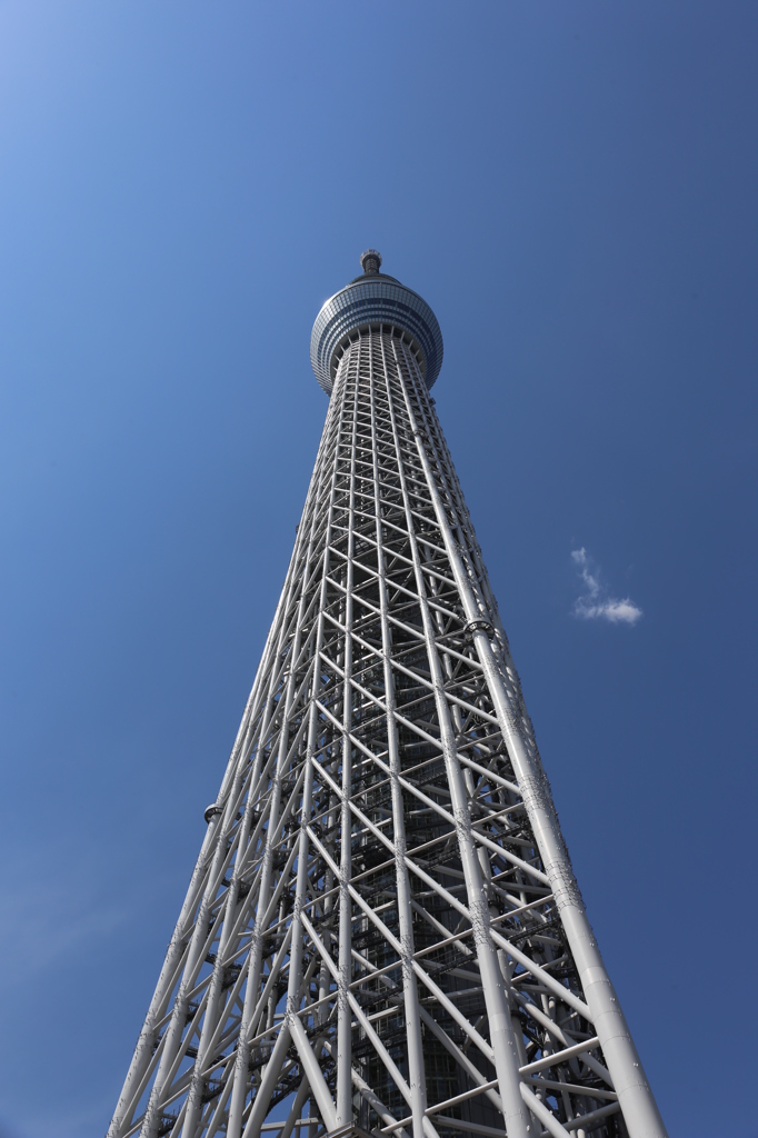 見上げて