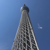 見上げて